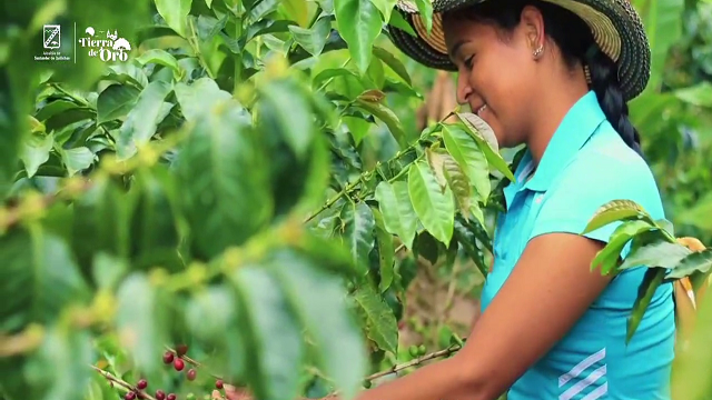 🌾👩🏻‍🌾 Paula Andrea, una joven que cultiva sueños en la Tierra de Oro ✨💚