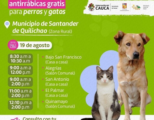 ¡Atención familias! Llegó la jornada de vacunación antirrábica a Quilichao