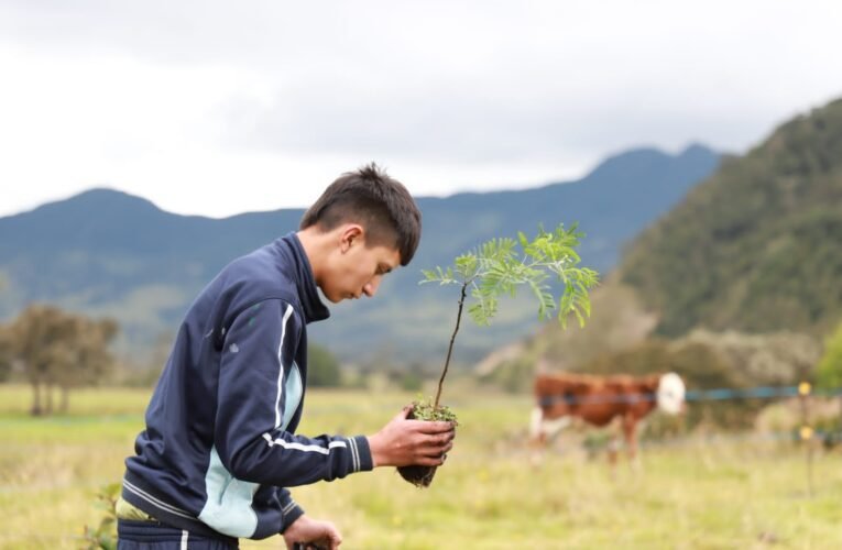 ¡Celebramos la vida, celebramos el agua!