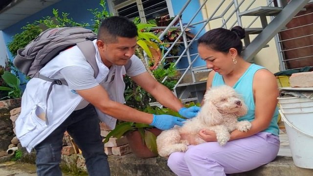 ¡Más de 1,000 mascotas protegidas! Culmina con éxito jornada de vacunación antirrábica en El Patía