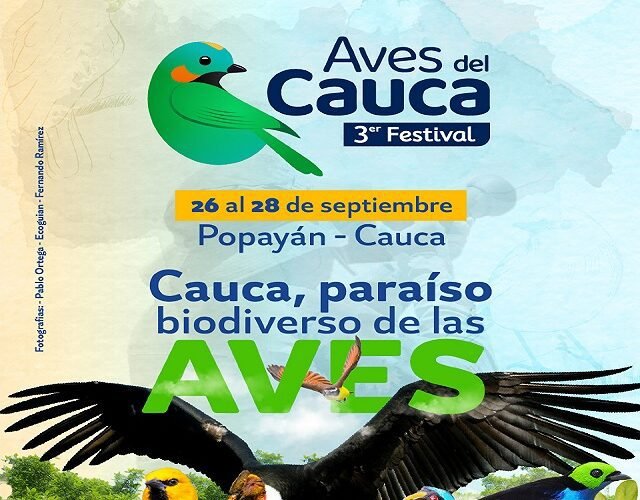 ¡Prepárate para volar! El Tercer Festival de Aves del Cauca 2024 está a punto de comenzar