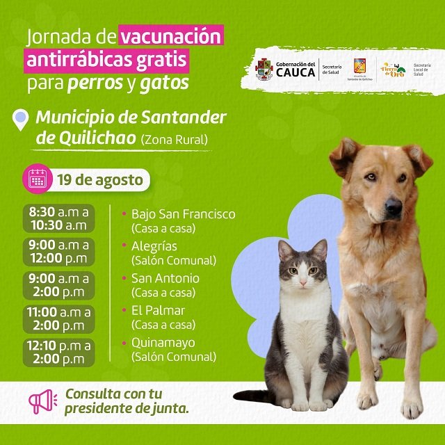 ¡Protege a tu mascota! Santander de Quilichao inicia jornada masiva de vacunación antirrábica