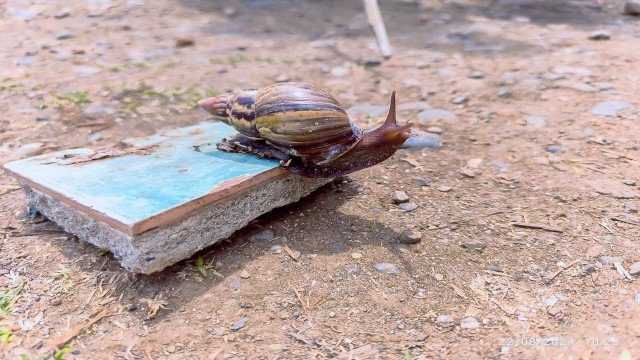 ¡Unidos por la salud pública! - Alcaldía de Santander de Quilichao