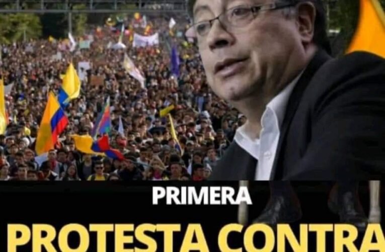 ¿Participará usted de esta protesta?