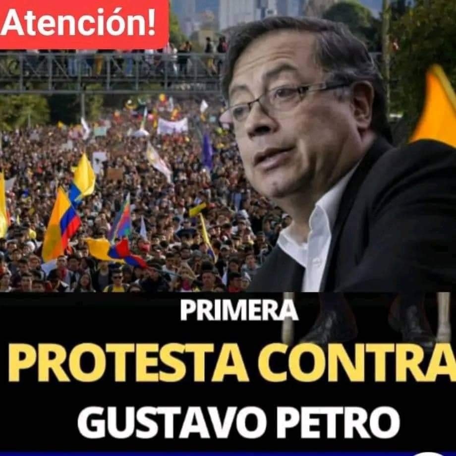 ¿Participará usted de esta protesta? 29 ¿PARTICIPARÁ USTED DE ESTA PROTESTA?